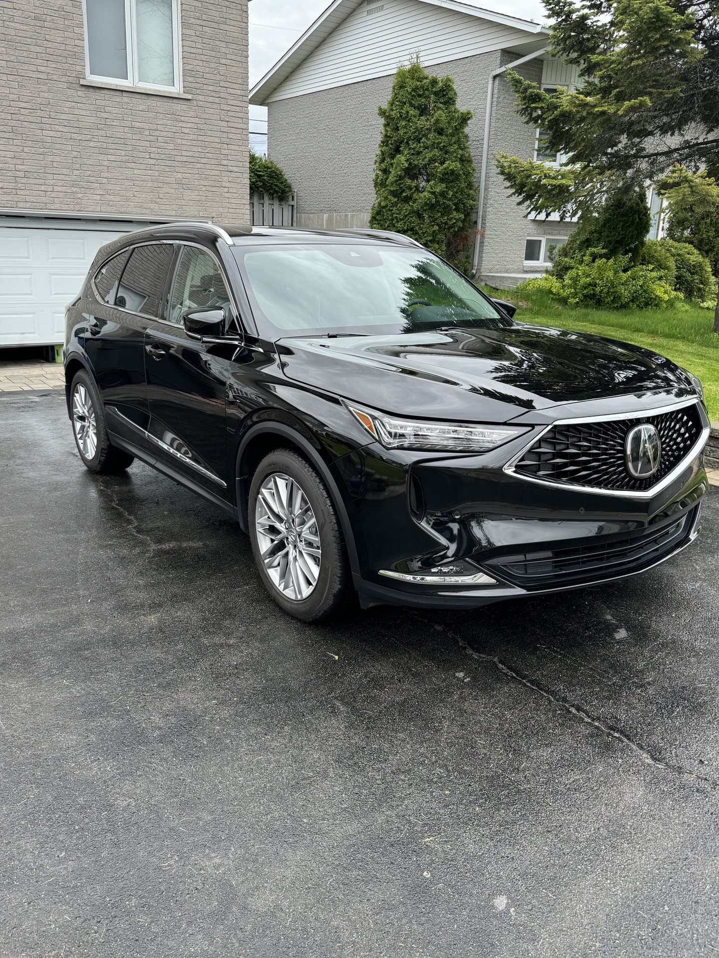 Professional Detailing Work