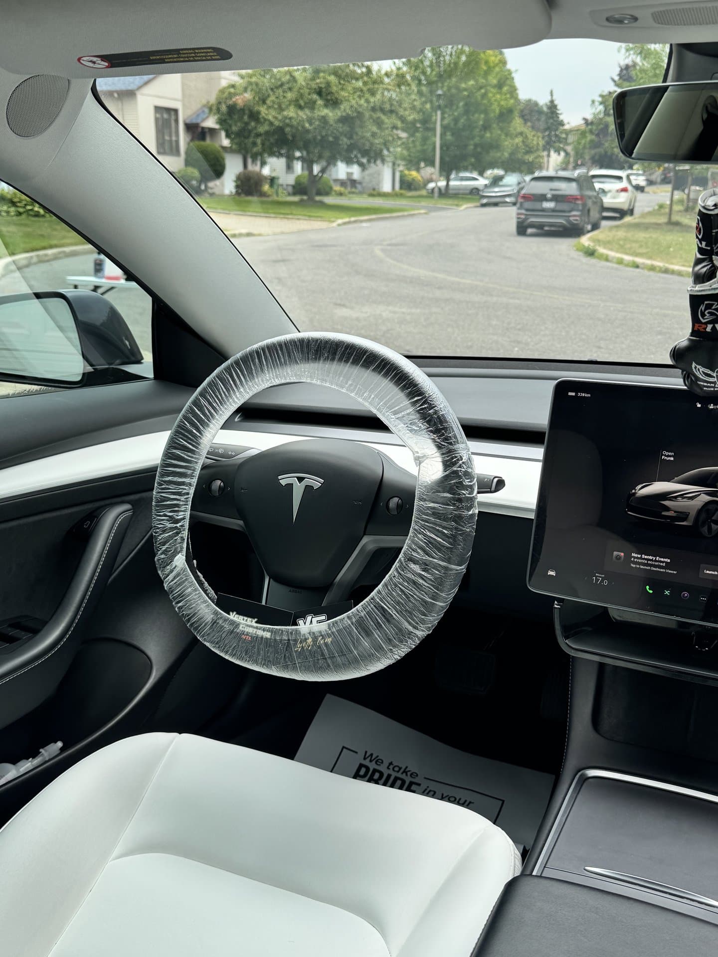 Professional Detailing Work