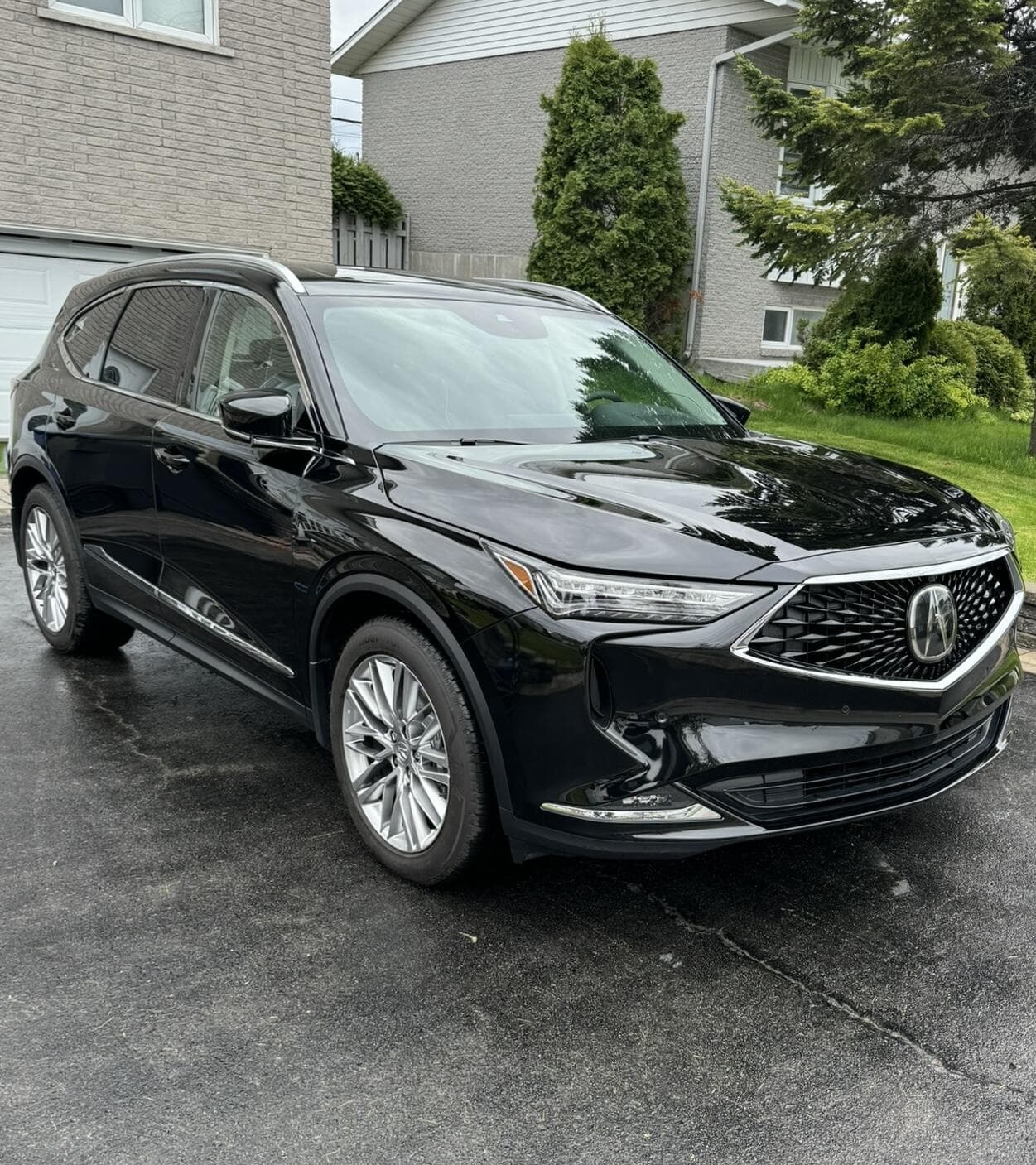 Professional Detailing Work